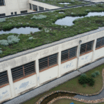 Escolas de Curitiba podem ganhar telhados verdes e jardins de chuva.