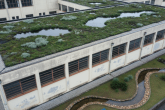 Escolas de Curitiba podem ganhar telhados verdes e jardins de chuva.